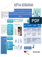 Mapa Conceptual Bioseguridad