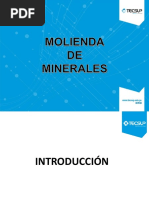 Molienda de Minerales - Clase 1