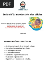 Clase #1 Introducción A Las Células T Med 23-03-2020