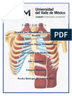 Atlas Pared Toracica