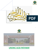 Uronic Acid Pathway