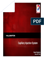 Capillary Injection Sytem Halib Valve