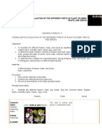 Organoleptic Evaluation of The Different Parts of Plant (Flower, Fruits, and Seeds)