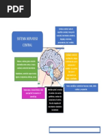 Mapa Mental Semana 7