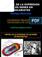 Control Genes en Procariontes