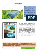 4P Ecosistemas 21 04 2021