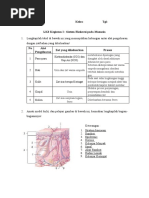 Tugas SISTEM EKSKRESI