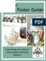 Kitten Foster Guide