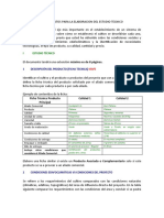 Lineamientos para La Elaboracion Del Estudio Tecnico