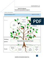 Arbol de Problemas Resuelto