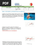 Actividad Mayo #01 Area CTS 2do Sec