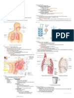 Module 10: Respiratory: Increasing Size of Lungs