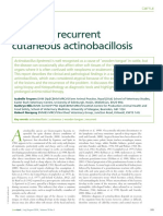 2014 A Case of Recurrent Cutaneous Actinobacillosis