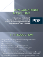 Fonction Gonadique Masculine