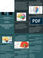 Actividad 5 - Folleto