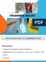 Organismal Biology