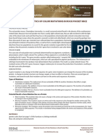 Mouse Molecular Genetics Student Activity 2