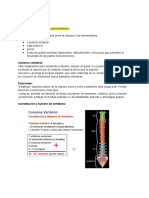 Columna Vertebral. Parte 1