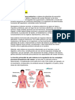 Sistema Endocrino y Otros