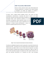 Cáncer y Fallas en La Replicación