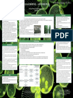 Algae Biofuel - A Future Fuel