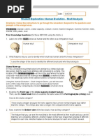 Crystal Salazar - Comparative Anatomy Skull Analysis Gizmo