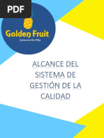 Alcance Del Sistema de Gestión de La Calidad