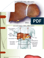 Hígado 2020