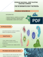 Microbiología - Grupo 3