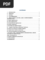 Caso Mattelsa 2021 Area Andina