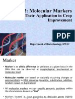 Chapter 12 Molecular Markers