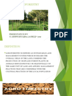 Agroforestry: Presentation by G.AISHWARYA (BSC, (AGRI) ) 1 Year