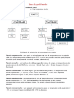 Tema 1. Regnul Plantelor