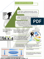 Pietro Fattorello. Electiva III. Infografia. Riesgo e Incertidumbre