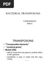 Bacterial Transposons