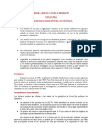 Matriz FODA Parte Del Examen