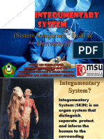 Sistem Integumen: Kulit & Derivatnya