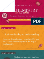 Bses27 Performance Task 1