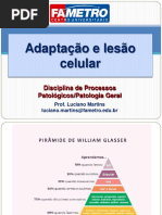 2251 - Aula 3 - Adaptação e Lesão Celular