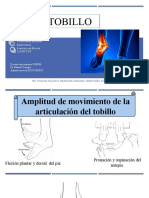 Semiologia Tobillo y Pie