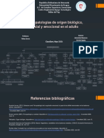 Mapa Conceptual de Psicologia Del Adulto