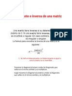 Informe - Determinante e Inversa de Una Matriz