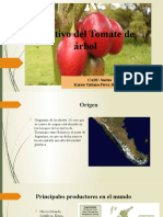 Cultivo Del Tomate de Árbol