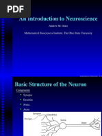 An Introduction To Neuroscience: Andrew M. Oster Mathematical Biosciences Institute, The Ohio State University