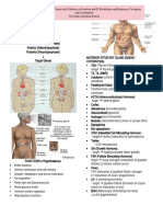 Anatomy and Physiology