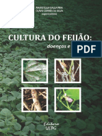 Cultura Do Feijao