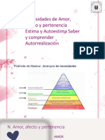 Necesidades de Saber y Comprender, Estima Autoestima, Autorealización, Amor y Pertenencia-R