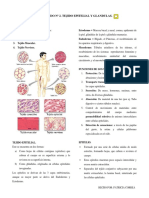 CONTENIDO #2 Tejido Epitelial y Glandulas Patricia Correa