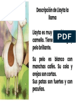 Descripción de La Llama