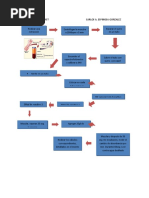 Diagrama de Flujo Ast Carlos A